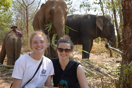 Conservation to preserve elephant habitat in Thailand with Globe Aware