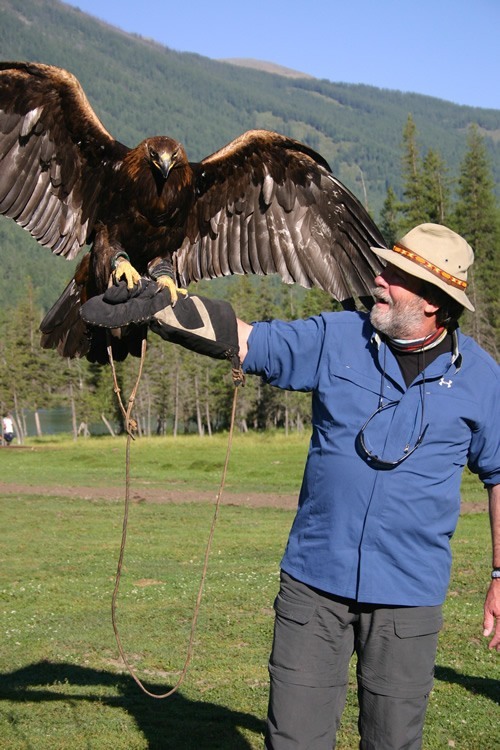 Hunting eagle perched on the author's arm.