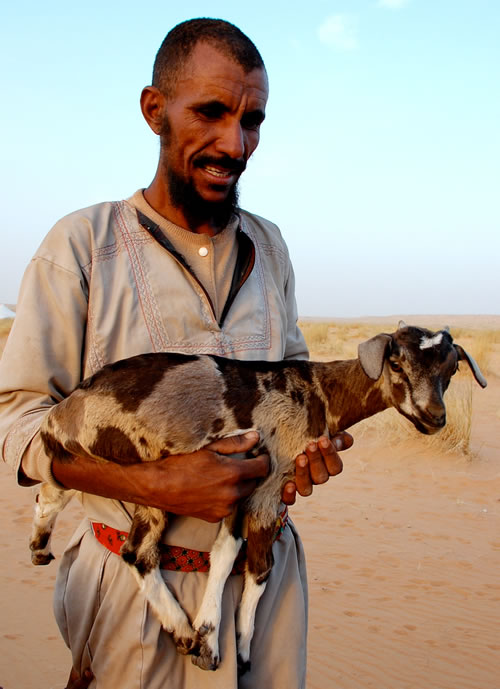 A man standing in the desert with a goat offering.