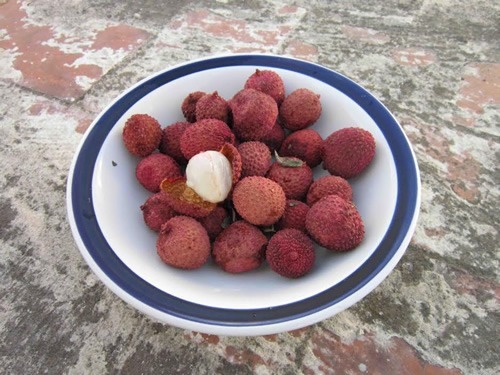 Lychees in a bowl in Mexico.