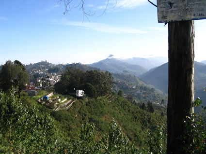 Nilgiris Hills of South India.