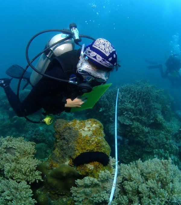 Volunteer gathers data about the coral reef in Malaysia.