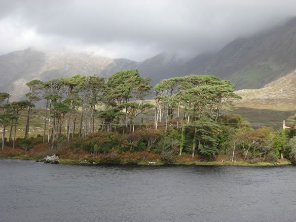 Connemara, Co. Galway.