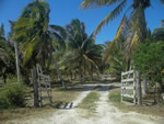 Farm in Mexico.