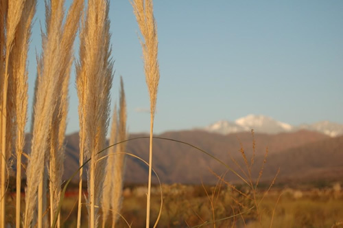 The Andes of Mendoza, Argentina