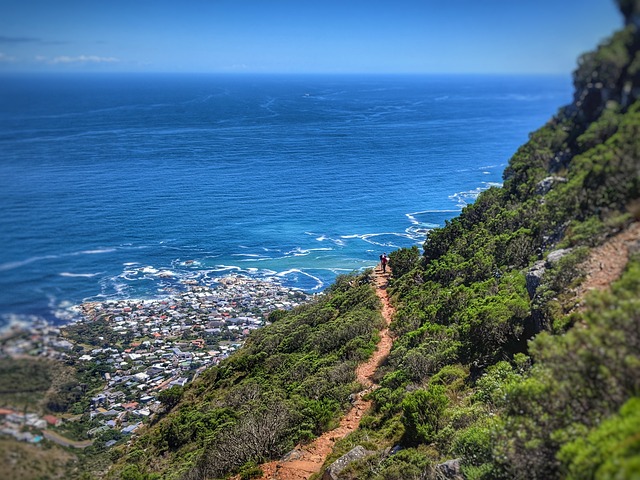 Study abroad in beautiful Cape Town, South Africa. A view of the city from a hill above.