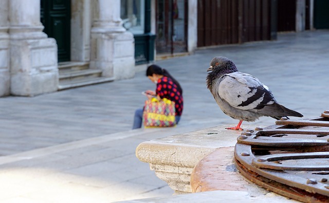 Woman sitting reading in old square after her study abroad decision.