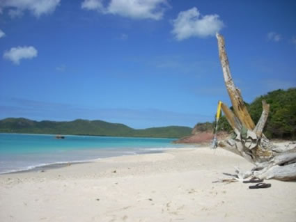 Beach looking on Hermitage bay, Antigua.