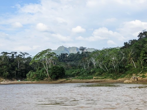 A view of the shore of the river Bení in Bolivia.