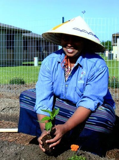 Burmese woman planting flower.