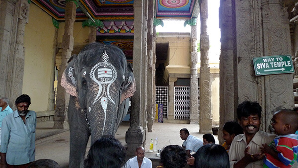 Painted Ganesh elephant god in India outside the temple.