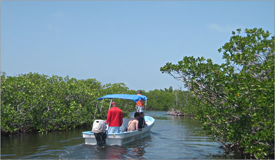 Natural waterways allow views of acquatic and bird life.