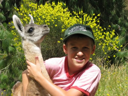 Sam with a new born Llama in Ecuador.