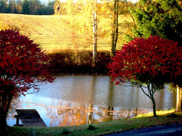 Proofreader Czech Republic Fall office view of a lake and trees.