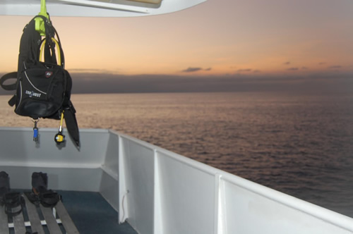 Diving in the Great Barrier Reef.