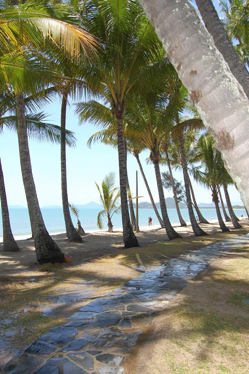 Palm Cove in Australia.