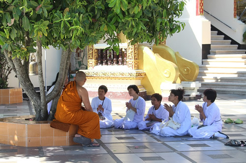 Monks at a Buddhist complex in Thailand.