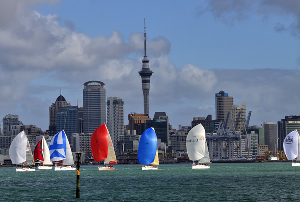 The skyline of Auckland, New Zealand, seen from a bay full of colorful sailboats.